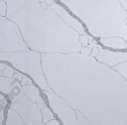 Panorama Plot 15 — material detail 8